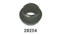 20204